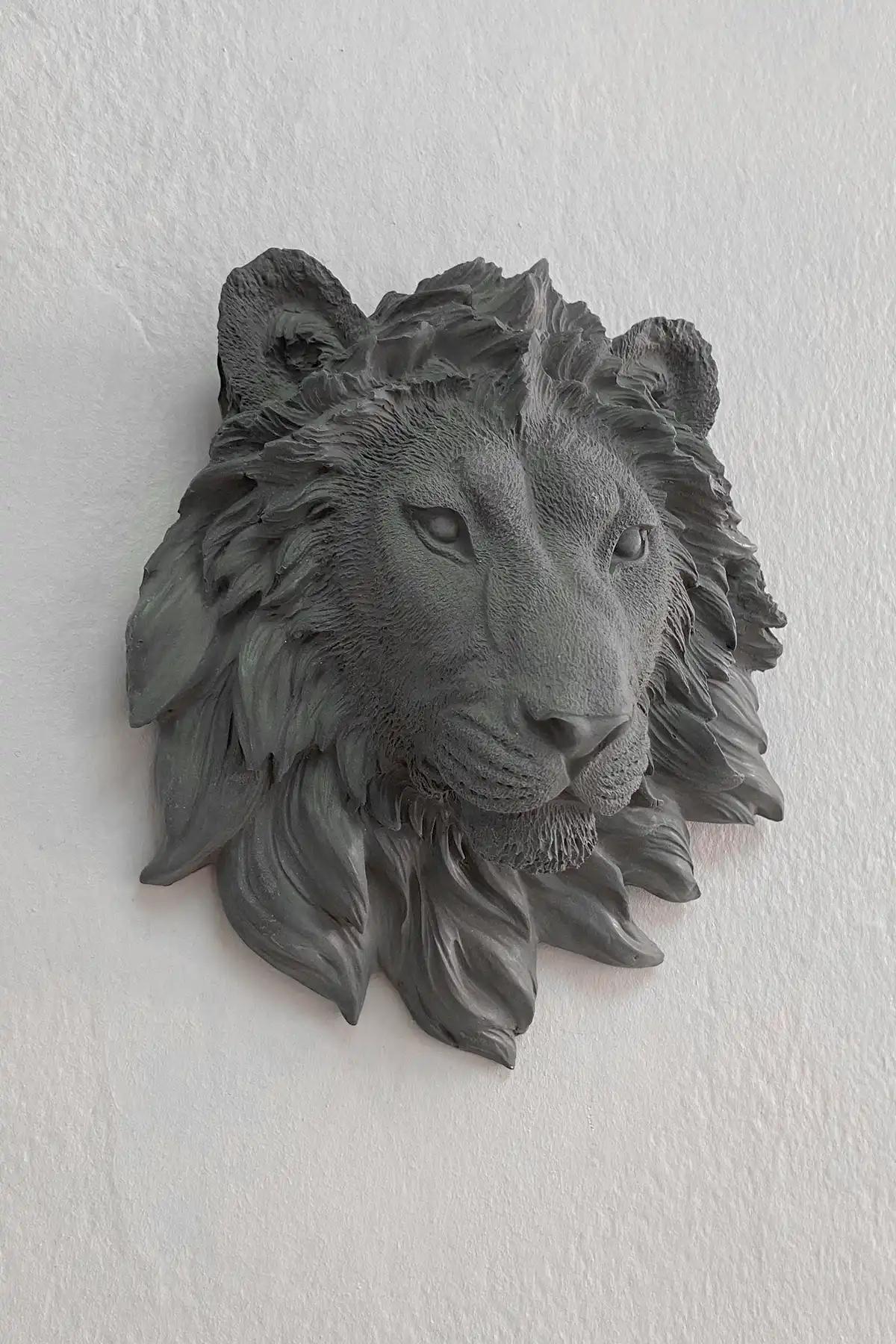 Aslan Duvar Süsü