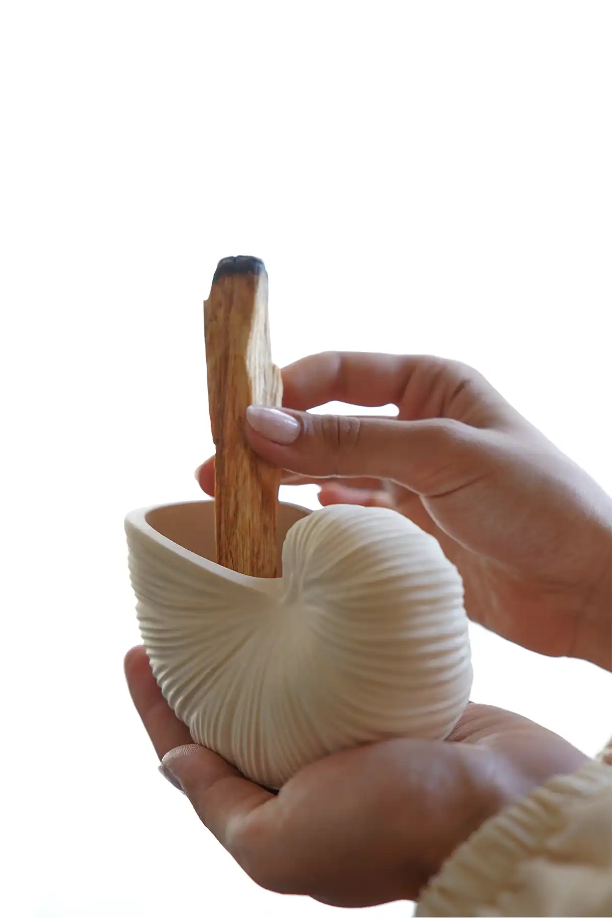 Deniz Kabuğu Palo Santo Tütsülük