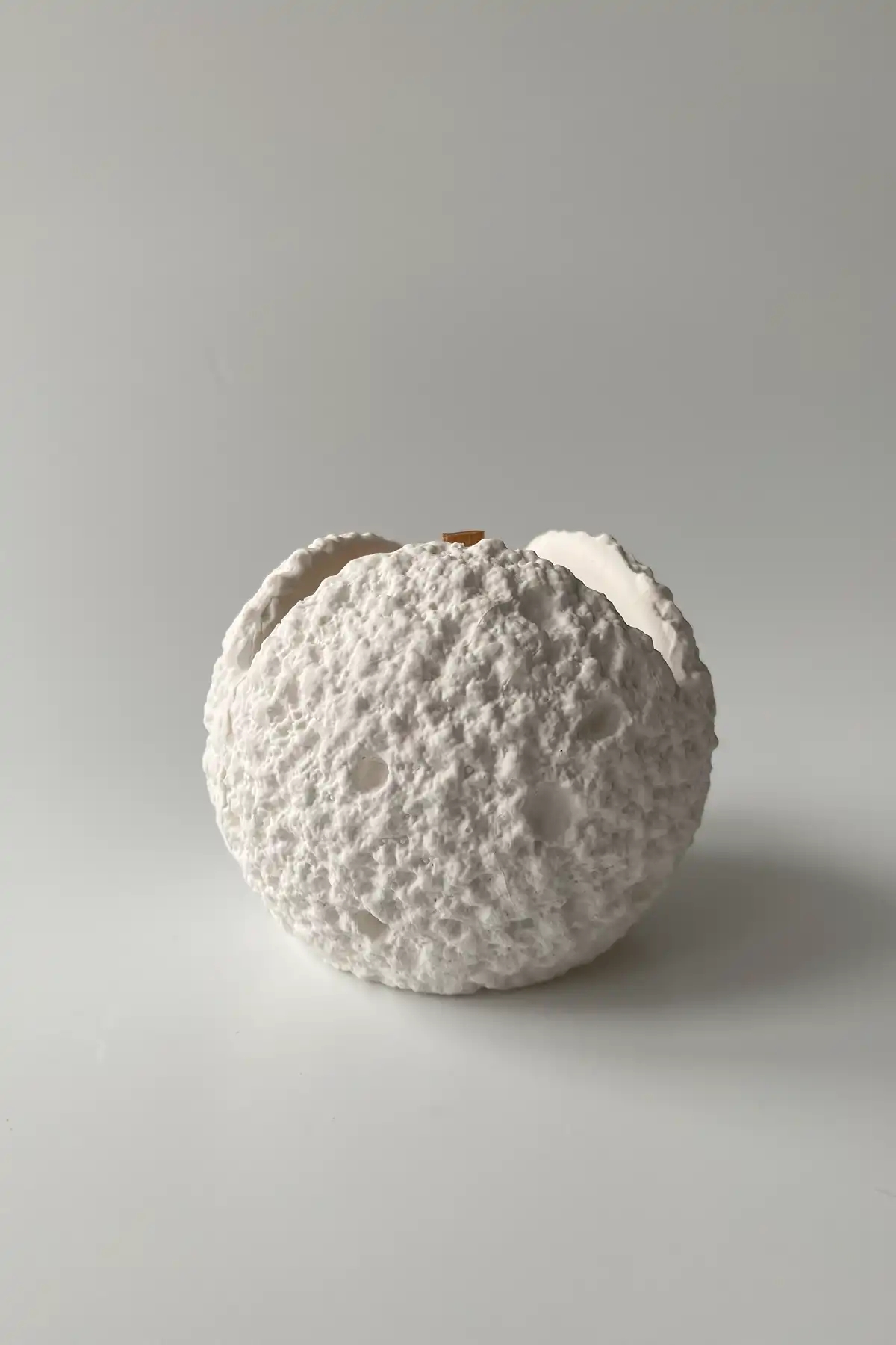 Mini Dokulu Soya Mumu
