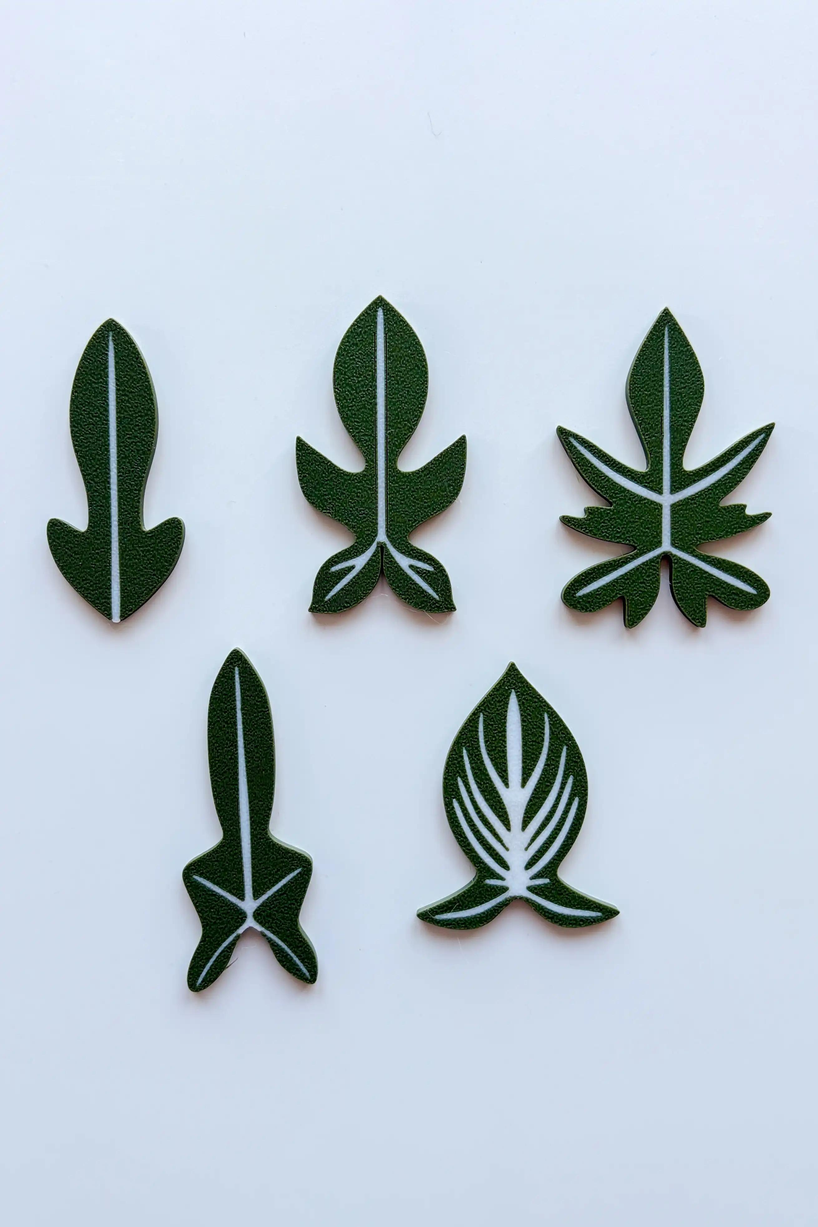 5’li Philodendron Buzdolabı Magneti