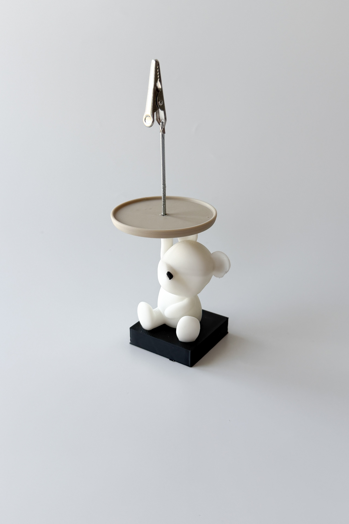 Polar Bear Notluk, Not Tutacağı