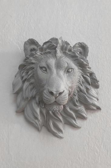 Aslan Duvar Süsü