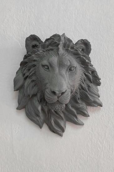 Aslan Duvar Süsü