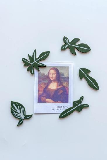 5’li Philodendron Buzdolabı Magneti